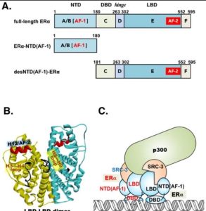 Original scientific publication figure for research item 10