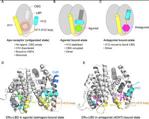 Complete scientific figure with all labeled panels for publication 11